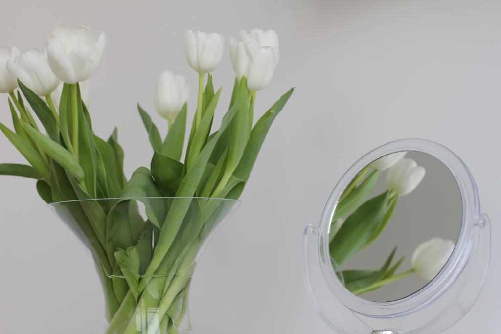 Mk Apartments دوسلدورف الغرفة الصورة